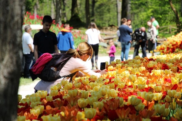 Ljubljana és a szomszédos arborétum tulipánvirágzáskor