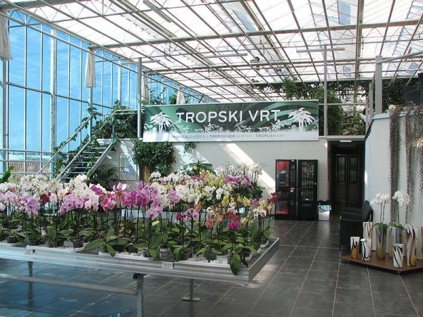 Orchideafarm és Tulipánmező