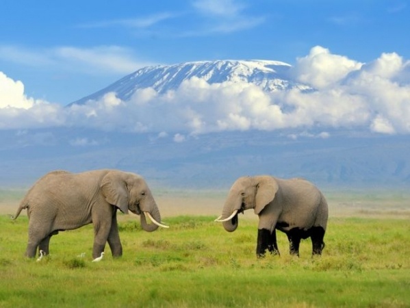 A Kilimandzsáró árnyékában - szafari és pihenés Kenyában magyar idegenvezetővel - 2027.01.20-30.