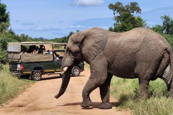 Afrika ezer arca: Dél-Afrika és Szváziföld - csoportos húsvéti körutazás és szafari 2027.03.26.-04.07.