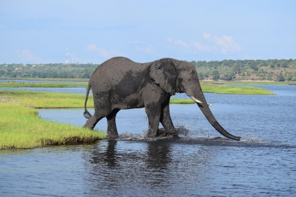 NAMÍBIA - BOTSWANA - ZIMBABWE