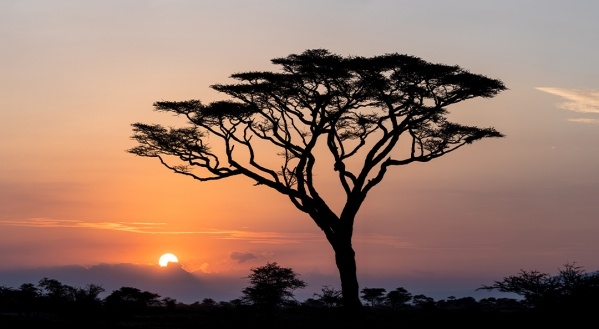 Tanzániai szafari és nyaralás Zanzibáron