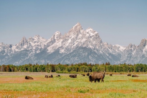 A gejzírek és vörös kanyonok birodalma: Yellowstone és Utah - csoportos utazás 2027.09.10-22.